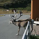 База отдыха Nordkapp 2*