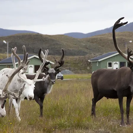 Nordkapp Honningsvåg