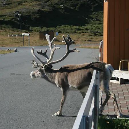 Πάρκο διακοπών Nordkapp 2*
