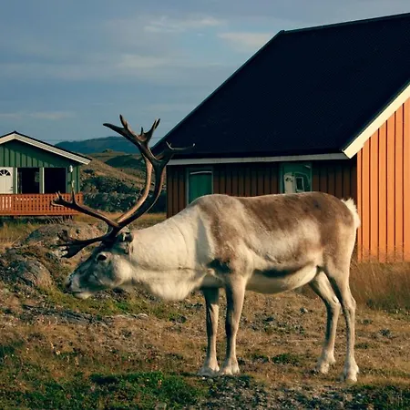 Πάρκο διακοπών Nordkapp Honningsvåg