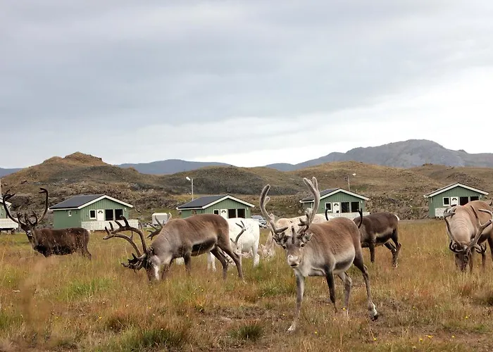 Nordkapp Parque de vacaciones Honningsvåg