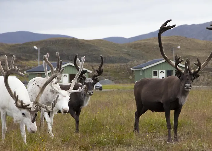 Nordkapp Honningsvåg