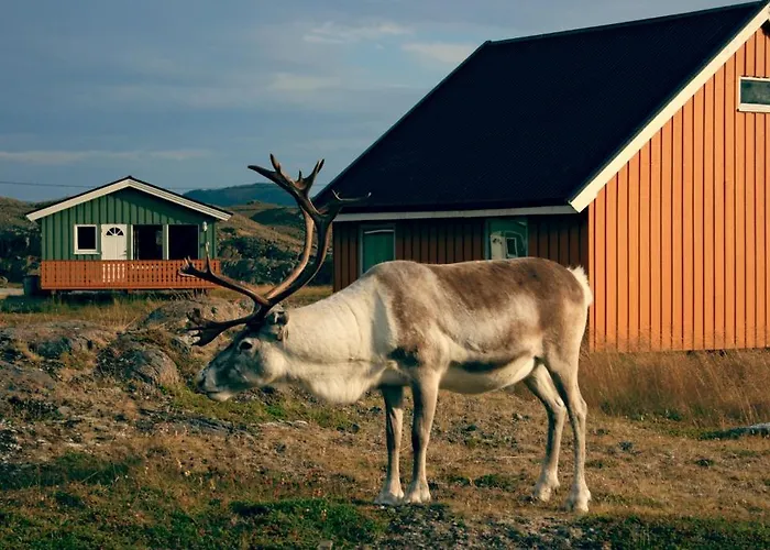 Parque de vacaciones Nordkapp Honningsvåg