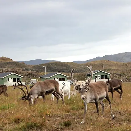Nordkapp 홀리데이파크 호닝스보그