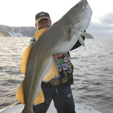 Nordkapp 호닝스보그